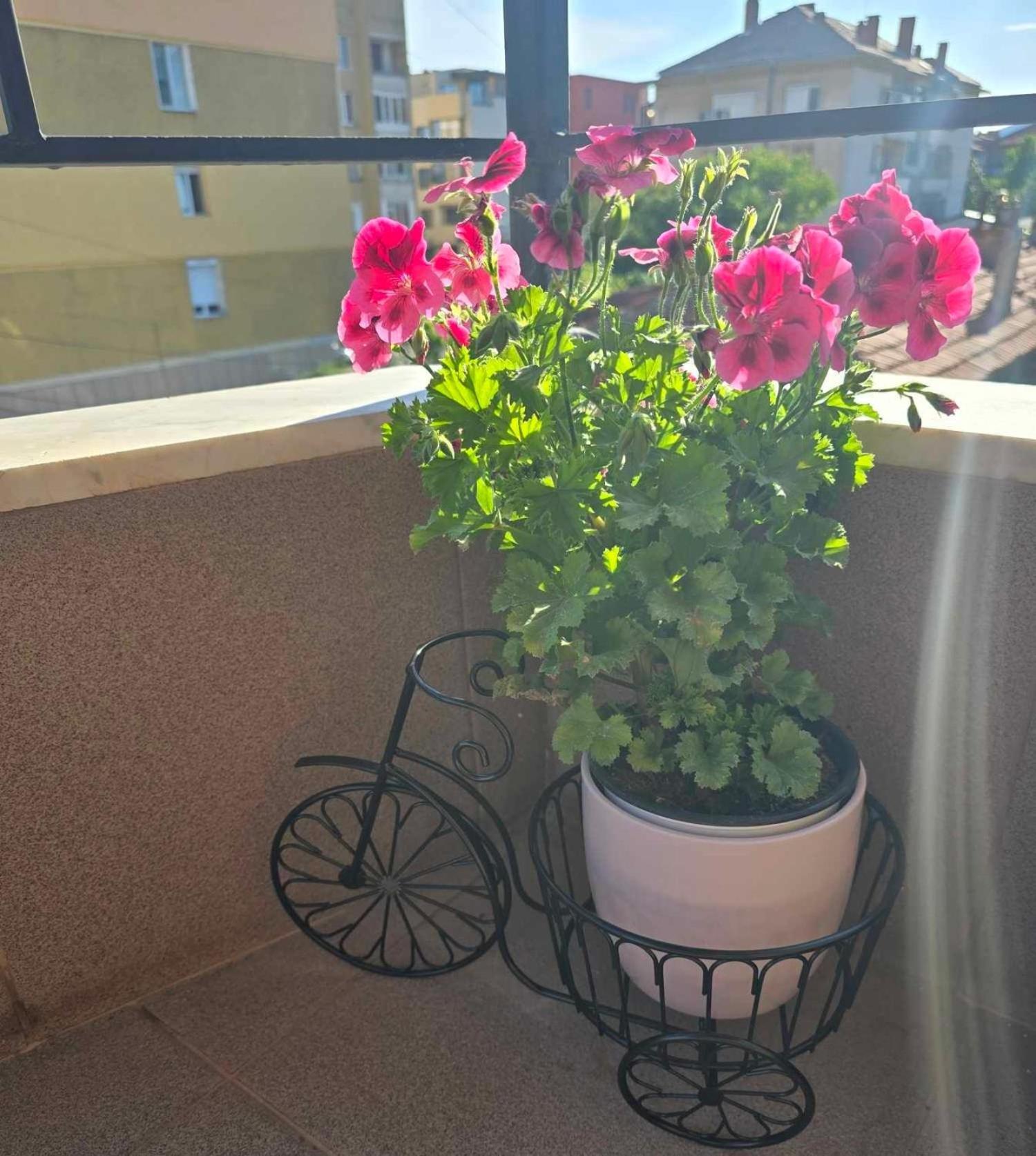 Luxury City Centre Appartment Iva Sliven Екстер'єр фото